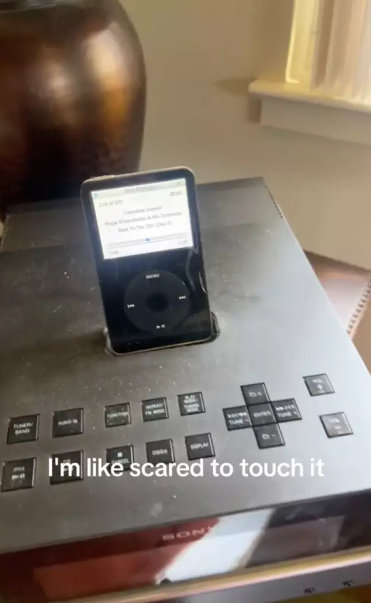 Grandma's iPod plays on loop for a decade