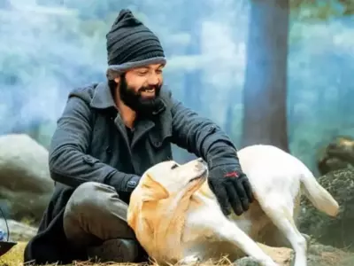 Move Over Humans, Bigg Boss Kannada 10 To Feature Dog From '777 Charlie' Movie As A Contestant