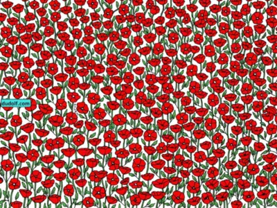 Look For The Crab Crawling Among The Poppies On This Optical Illusion Quest