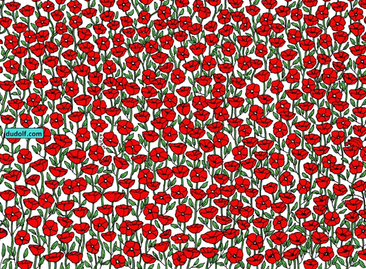 Look for the crab crawling among the poppies in this optical illusion hunt