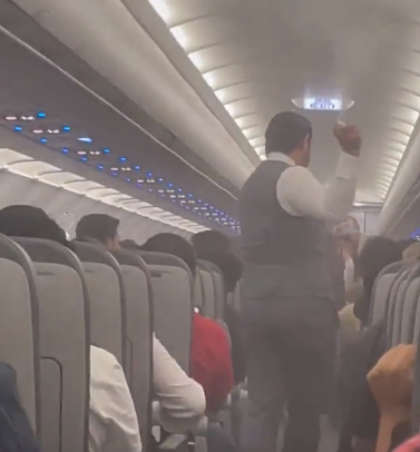 A swarm of mosquitoes takes over a plane in Mexico