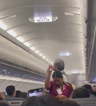 A swarm of mosquitoes takes over a plane in Mexico
