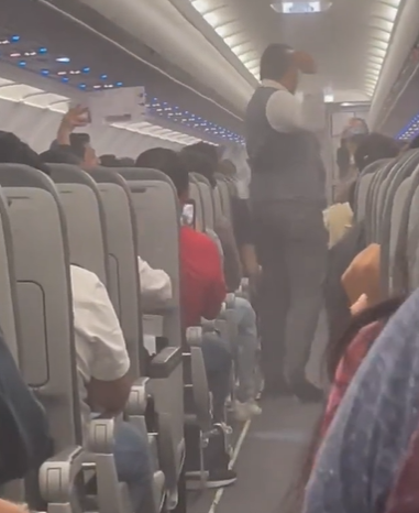 A swarm of mosquitoes takes over a plane in Mexico