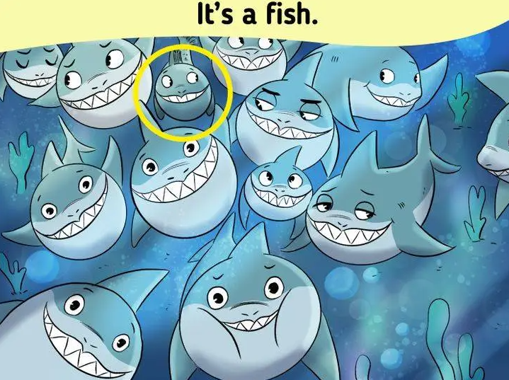 Optical illusion challenge Solve it to find the fish hidden among the group of sharks