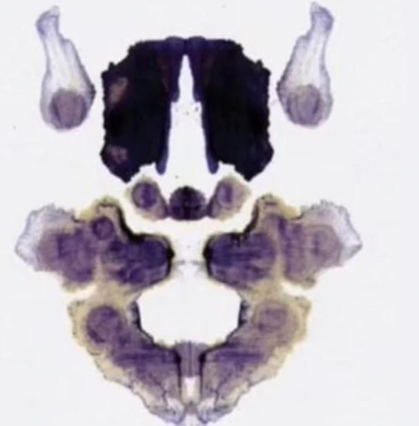 Rorschach-Inspired Optical Illusion Test Reveals True Personality