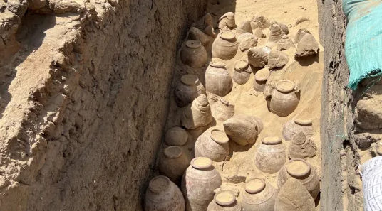 Researchers find 5,000-year-old wine in Egyptian queen's tomb
