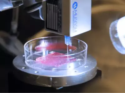 Scientists Unveil Fully Functional Bioprinted Skin With Remarkable Healing Potential