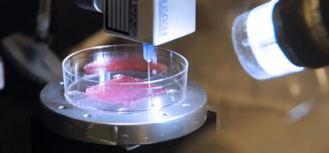 scientists-unveil-fully-functional-bioprinted-skin-with-remarkable