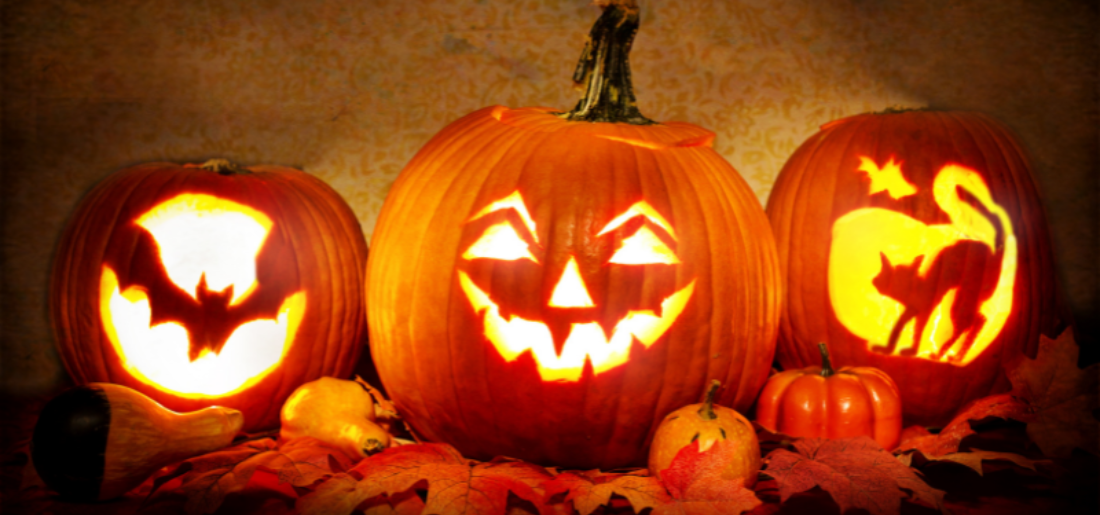 Since It's Been So Wet, Halloween Pumpkins Will Be Bigger Than Usual Since It's Been So Wet, Halloween Pumpkins Will Be Bigger Than Usual