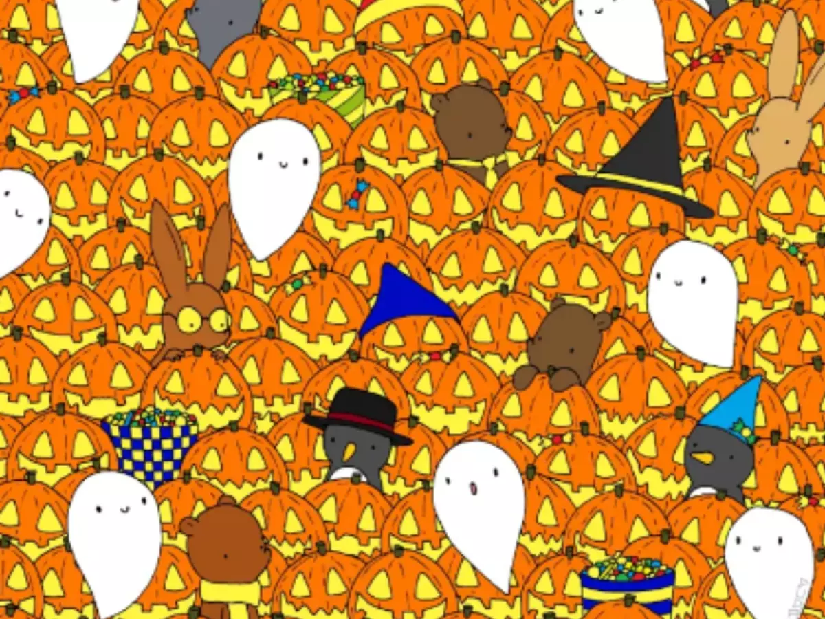 Spot The Star Hidden Among The Pumpkins In Our Special Halloween Optical Illusion