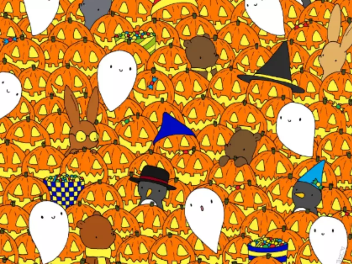 Spot The Star Hidden Among The Pumpkins In Our Special Halloween Optical Illusion Spot The Star Hidden Among The Pumpkins In Our Special Halloween Optical Illusion