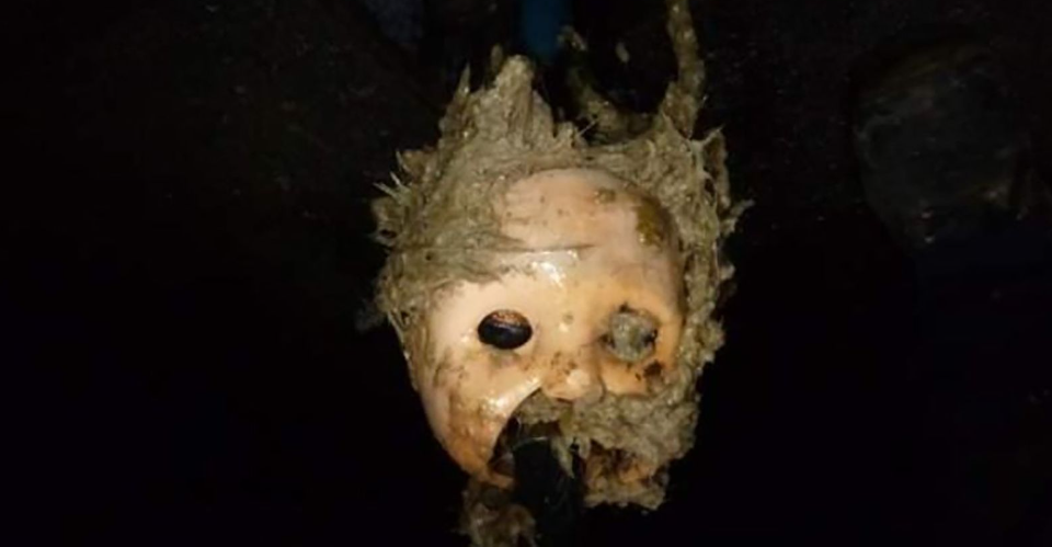Creepy doll head has blocked sewers in Bristol Water company issues Halloween warning