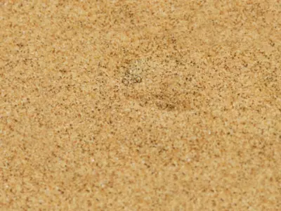 There's A Snake Under The Sand In This Optical Illusion
