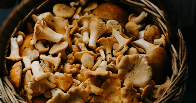 Undercooked mushrooms cause rare shiitake rash in man