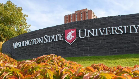 Best Washington Colleges for Electrical Engineering for Indian Students