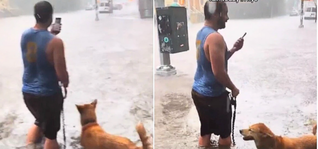 man-walking-dog-in-nyc-rain