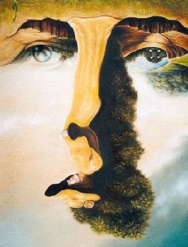 can you spot hidden man face 