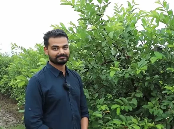 Kabir Chandrakar MBA turns guava farmer earns lakhs 