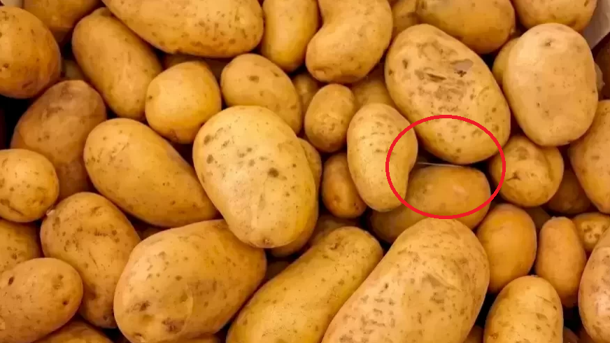 Optical Illusion Find the needle 