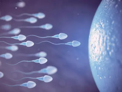 Oligospermia And Its Impact On Male Fertility