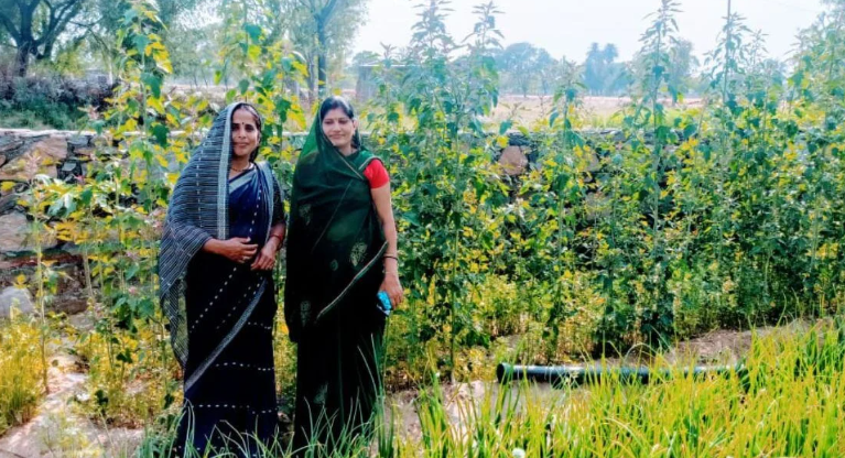 Ruby Pareek Organic Farming 