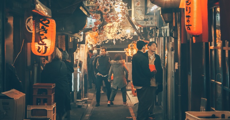 Explore The Best Of Japan Like A Traveller