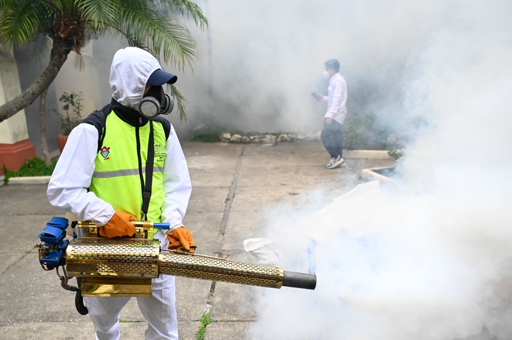 Dengue Cases, Deaths Explode Across India, Doctors Advise Caution