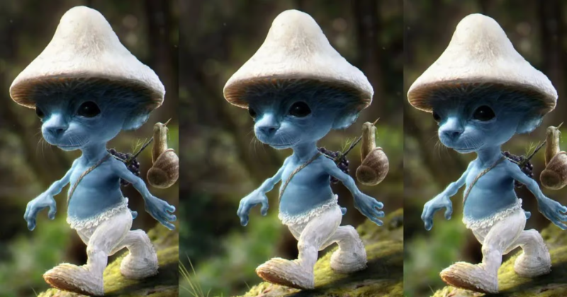 Smurf Cat 