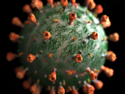 A Dutch Man Was Infected With COVID-19 For 613 Days, Virus Mutated Inside Him 50 Times