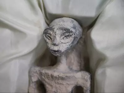 Scientists Claim One Of The Aliens Is 'Alive' After Controversial Reveal In Mexico