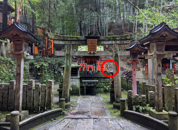 Find The Cat Hiding Within The Temple With This New Optical Illusion
