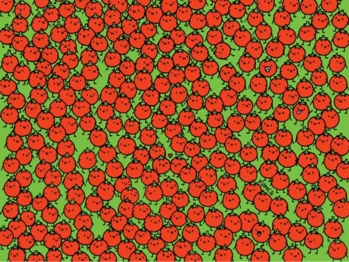 Here's A New Optical Illusion Find The 3 Apples Hiding Among The Tomatoes