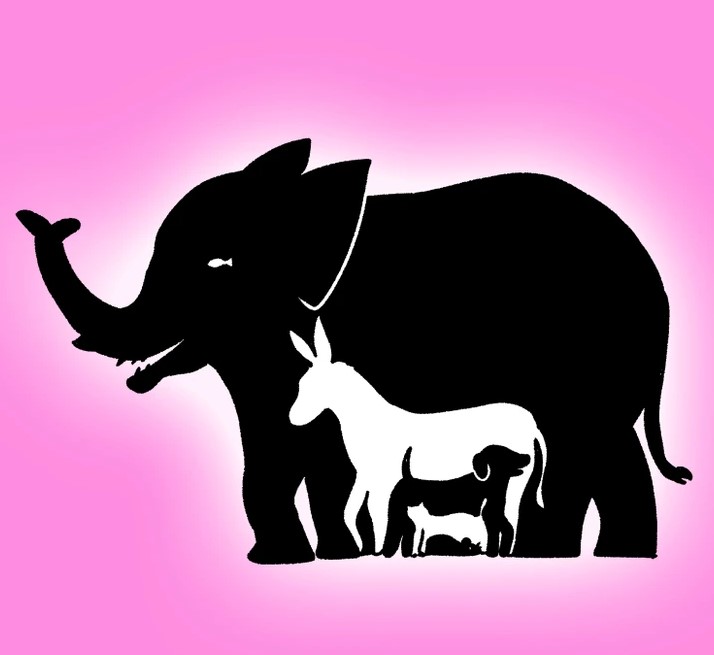 howmanyanimalscanyouspotinpictureopticalillusioniqtest-64fda76d1d731