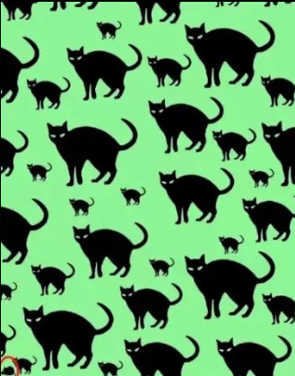 In 14 seconds, spot the rat among the cats in this optical illusion challenge