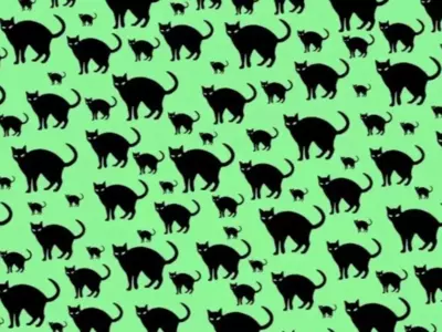 In 14 Seconds, Spot The Rat Among The Cats In This Optical Illusion Challenge