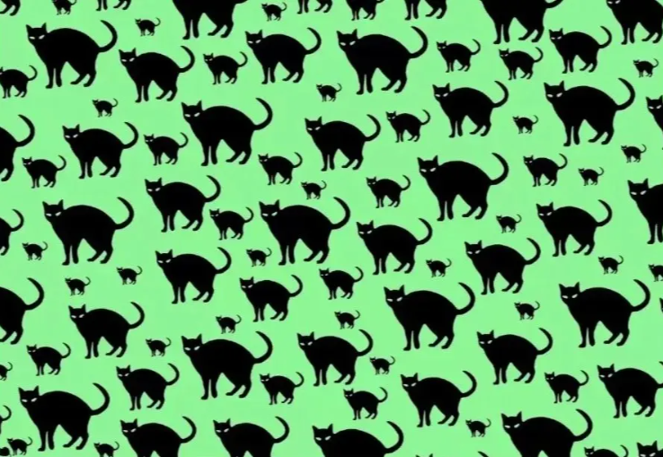 In 14 seconds, spot the rat among the cats in this optical illusion challenge