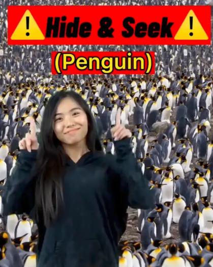 In 5 Seconds, Find The Girl Among The Penguins With This Mind-bending Optical Illusion