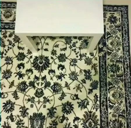 In this optical illusion, you must find the cell phone hidden in the carpet