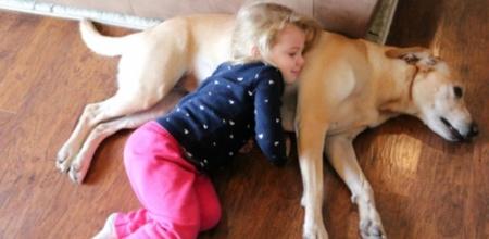 It Was Discovered That The Family Dog Was Being Used As A Pillow By A Lost Toddler In The Woods