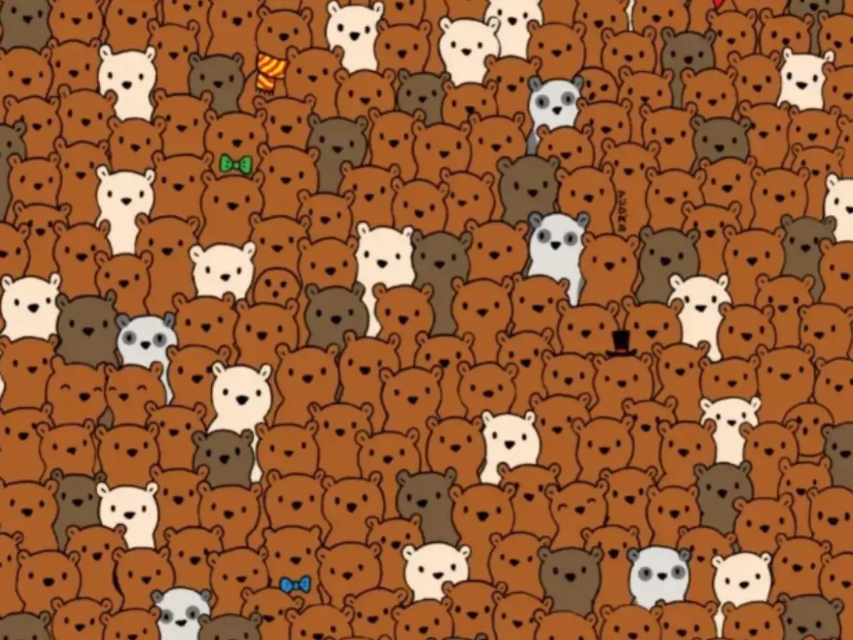 Optical Illusion Test Find The 3 Coconuts Among These Bears