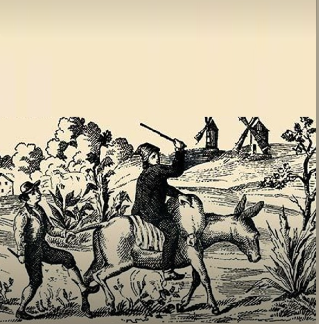 can you spot the cat the dog the woman in this optical illusion puzzle 