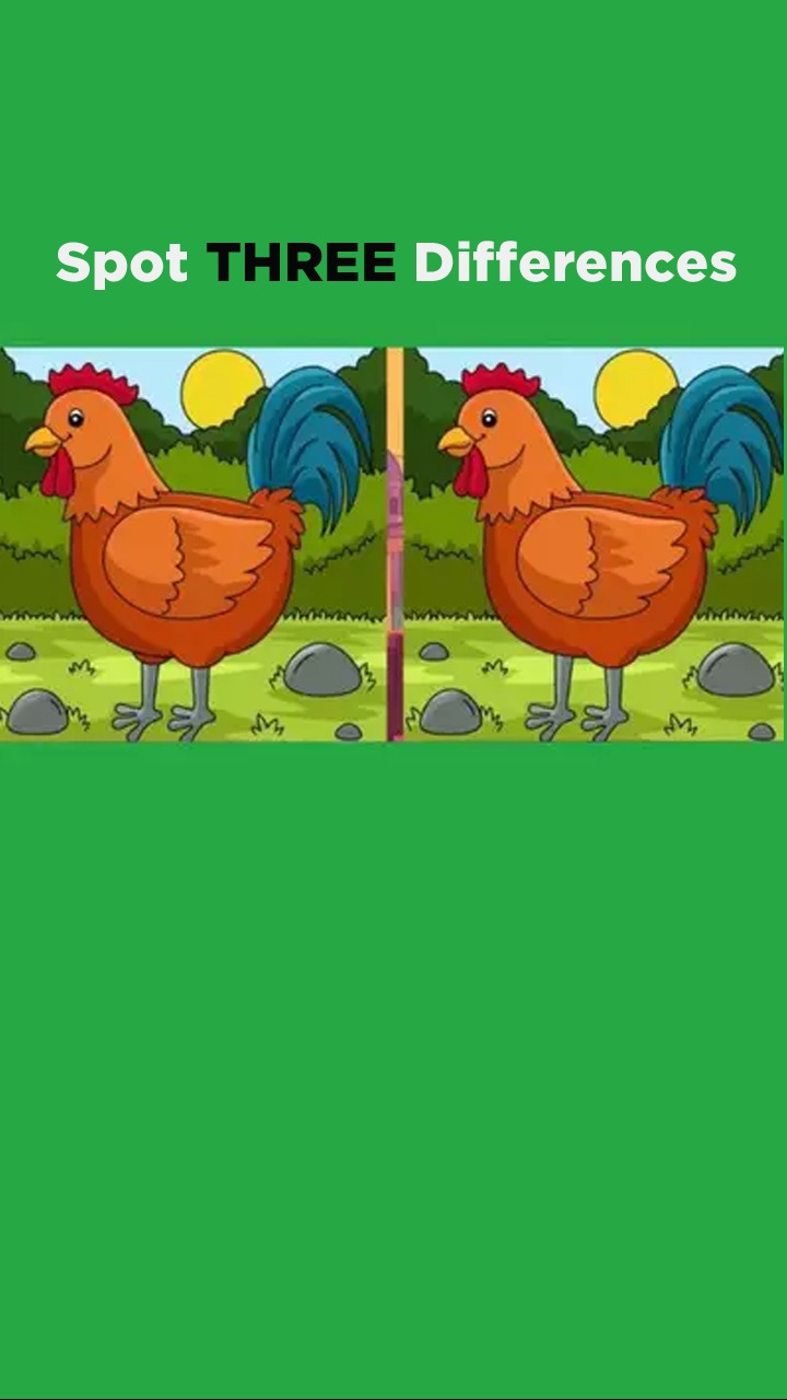 IQ Test: Spot THREE Differences In 15 Seconds!
