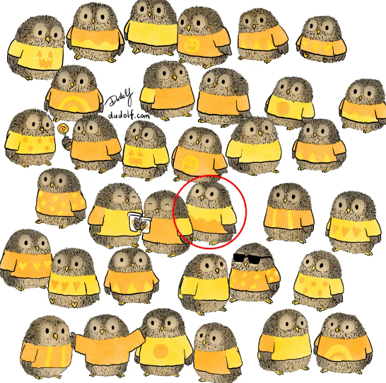 The Owl Is In This Sweater You Need To Find In This Optical Illusion