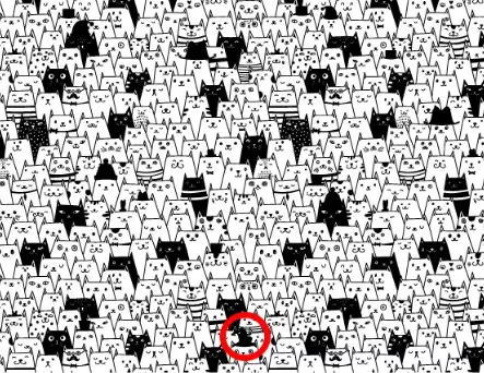 Optical Illusion: Find The Black And White Cat In The Witch's Hat