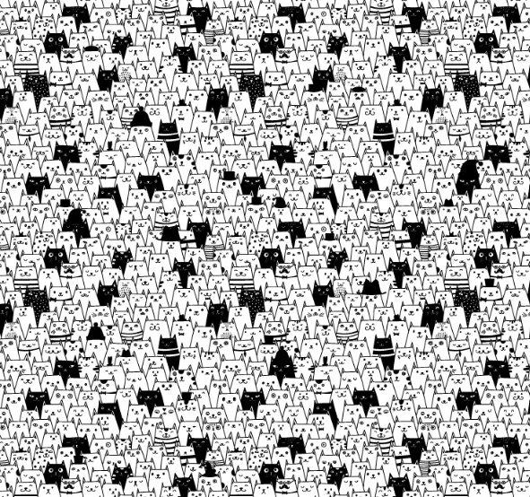 This viral optical illusion will make you see the witch's black and white cat