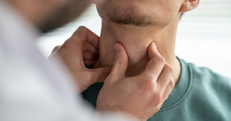 Thyroid Gland: Anatomy | Concise Medical Knowledge