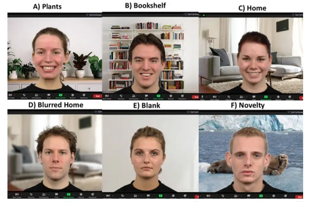 conclusion about Zoom backgrounds and their importance