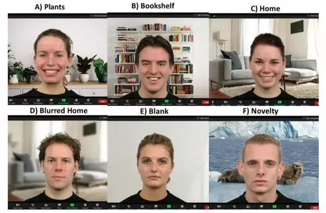 conclusion about Zoom backgrounds and their importance