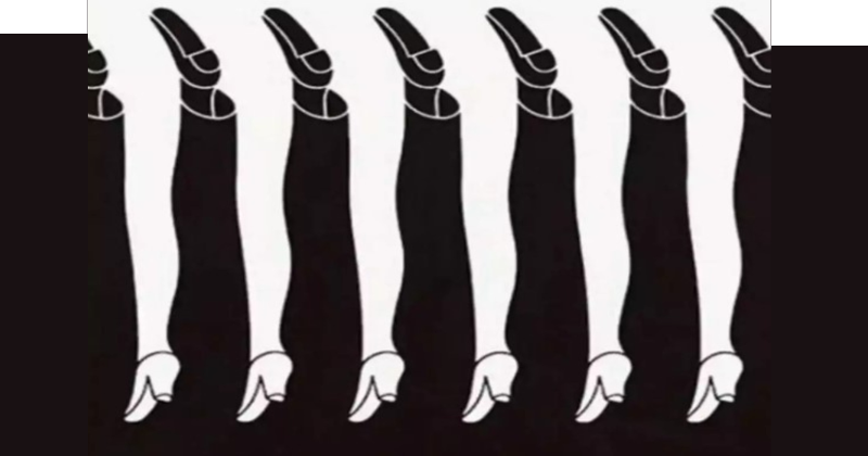 female legs or male legs
