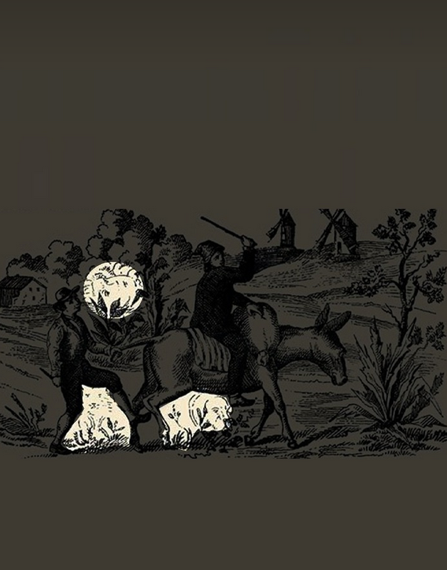 optical-illusion-viral-photo-spot-the-cat-dog-and-woman-6518254d6219d